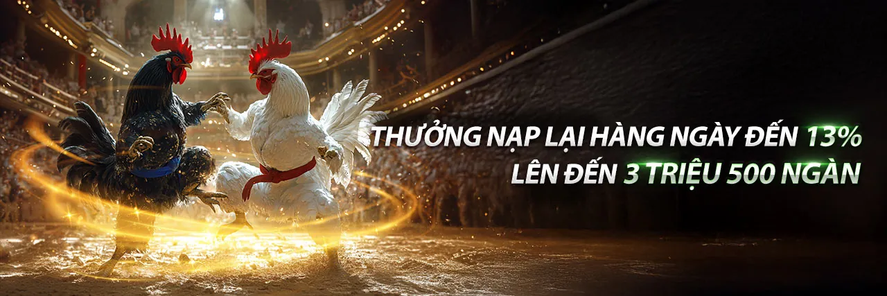 Hình ảnh đá gà trực tuyến tại đá ga 65.com